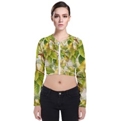 Pear Fruit Tree Organic Pattern Long Sleeve Zip Up Bomber Jacket by Wegoenart