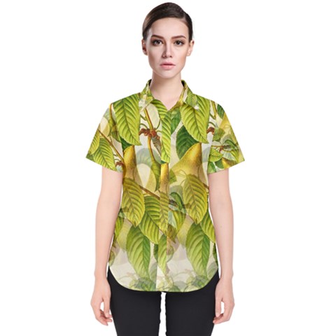 Pear Fruit Tree Organic Pattern Women s Short Sleeve Shirt by Wegoenart