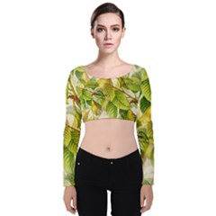 Pear Fruit Tree Organic Pattern Velvet Long Sleeve Crop Top by Wegoenart