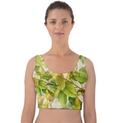 Pear Fruit Tree Organic Pattern Velvet Crop Top by Wegoenart