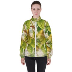 Pear Fruit Tree Organic Pattern Women s High Neck Windbreaker by Wegoenart