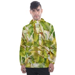 Pear Fruit Tree Organic Pattern Men s Front Pocket Pullover Windbreaker by Wegoenart