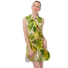 Pear Fruit Tree Organic Pattern Sleeveless Shirt Dress by Wegoenart