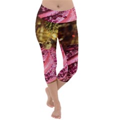 Christmas Decoration 4 Lightweight Velour Capri Yoga Leggings