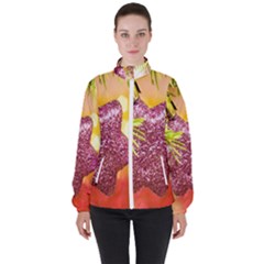 Christmas Decoration 5 Women s High Neck Windbreaker by artworkshop