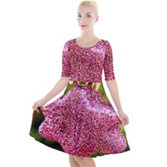 Christmas Decoration 6 Quarter Sleeve A-line Dress