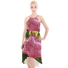 Christmas Decoration 6 High-low Halter Chiffon Dress  by artworkshop