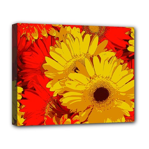 Flower Daisies Bloom Blossom Deluxe Canvas 20  X 16  (stretched) by Wegoenart