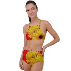 Flower Daisies Bloom Blossom High Waist Tankini Set by Wegoenart