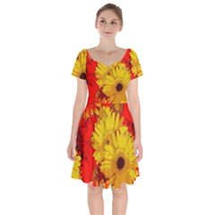 Flower Daisies Bloom Blossom Short Sleeve Bardot Dress by Wegoenart