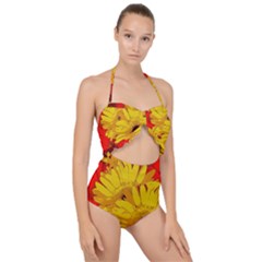 Flower Daisies Bloom Blossom Scallop Top Cut Out Swimsuit by Wegoenart