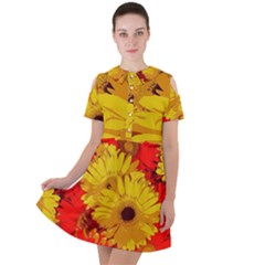 Flower Daisies Bloom Blossom Short Sleeve Shoulder Cut Out Dress  by Wegoenart