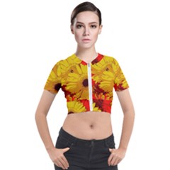 Flower Daisies Bloom Blossom Short Sleeve Cropped Jacket by Wegoenart