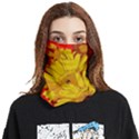 Flower Daisies Bloom Blossom Face Covering Bandana (Two Sides) View1