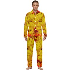 Flower Daisies Bloom Blossom Men s Long Sleeve Velvet Pocket Pajamas Set by Wegoenart