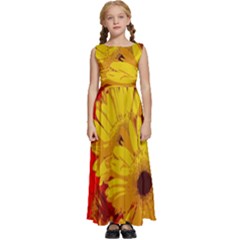 Flower Daisies Bloom Blossom Kids  Satin Sleeveless Maxi Dress by Wegoenart