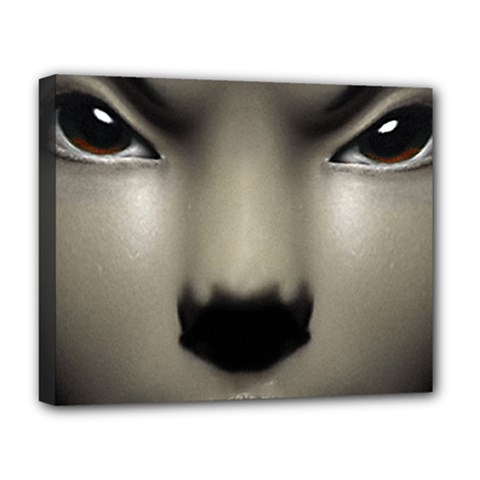 Close Up Portrait Asian Woman Close Up Portrait Asian Woman Deluxe Canvas 20  X 16  (stretched)