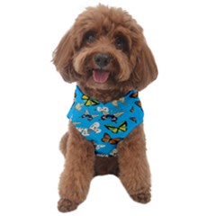 Butterflies Dog Sweater