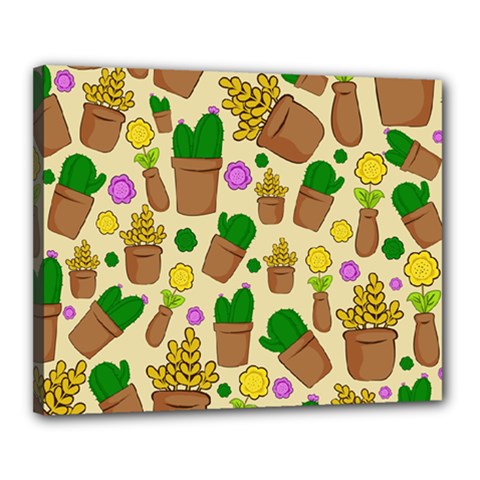 Cactus Canvas 20  X 16  (stretched) by nateshop