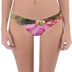 Christmas Decoration 9 Reversible Hipster Bikini Bottoms by artworkshop