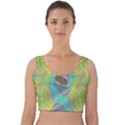 Ellipse Pattern Elliptical Abstract Velvet Crop Top View1