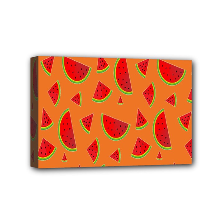 Fruit 2 Mini Canvas 6  x 4  (Stretched)