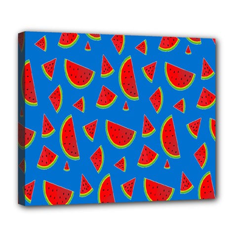 Fruit4 Deluxe Canvas 24  X 20  (stretched) by nateshop