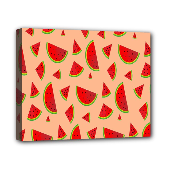 Fruit-water Melon Canvas 10  x 8  (Stretched)