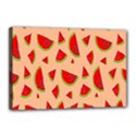 Fruit-water Melon Canvas 18  x 12  (Stretched) View1