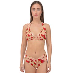 Fruit-water Melon Double Strap Halter Bikini Set by nateshop