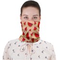 Fruit-water Melon Face Covering Bandana (Adult) View1