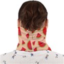 Fruit-water Melon Face Covering Bandana (Adult) View2