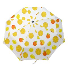 Fruits,orange Folding Umbrellas by nateshop