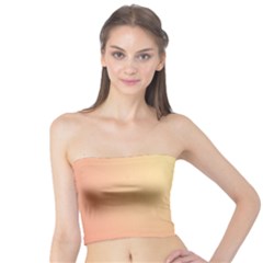 Gradient Tube Top by nateshop