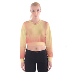 Gradient Cropped Sweatshirt by nateshop