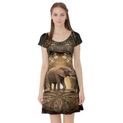 Sculpture Travel Outdoor Nature Elephant Short Sleeve Skater Dress by Wegoenart