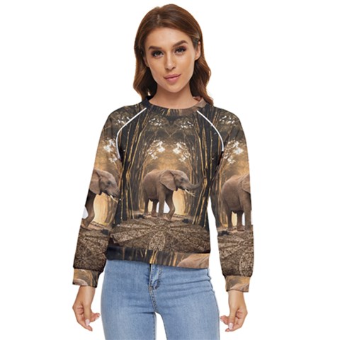 Sculpture Travel Outdoor Nature Elephant Women s Long Sleeve Raglan Tee by Wegoenart