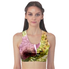 Christmas Decoration Star 2 Sports Bra by artworkshop