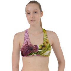 Christmas Decoration Star 2 Criss Cross Racerback Sports Bra by artworkshop