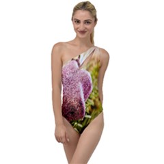 Christmas Decoration Star 2 To One Side Swimsuit by artworkshop