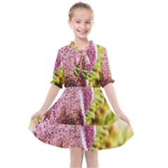 Christmas Decoration Star 2 Kids  All Frills Chiffon Dress by artworkshop