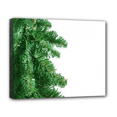 Green Christmas Tree Border Deluxe Canvas 20  X 16  (stretched)