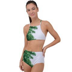 Green Christmas Tree Border High Waist Tankini Set by artworkshop