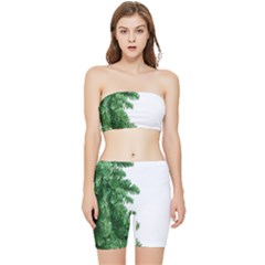 Green Christmas Tree Border Stretch Shorts And Tube Top Set by artworkshop