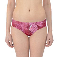 Pink Christmas Tree Hipster Bikini Bottoms by artworkshop