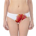 Red Ribbon Bow On White Background Hipster Bikini Bottoms View1