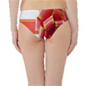 Red Ribbon Bow On White Background Hipster Bikini Bottoms View2