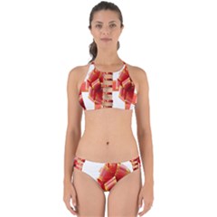 Red Ribbon Bow On White Background Perfectly Cut Out Bikini Set by artworkshop