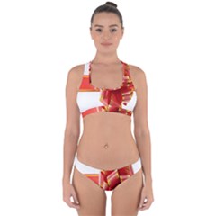 Red Ribbon Bow On White Background Cross Back Hipster Bikini Set by artworkshop