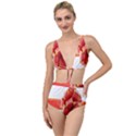 Red Ribbon Bow On White Background Tied Up Two Piece Swimsuit View1